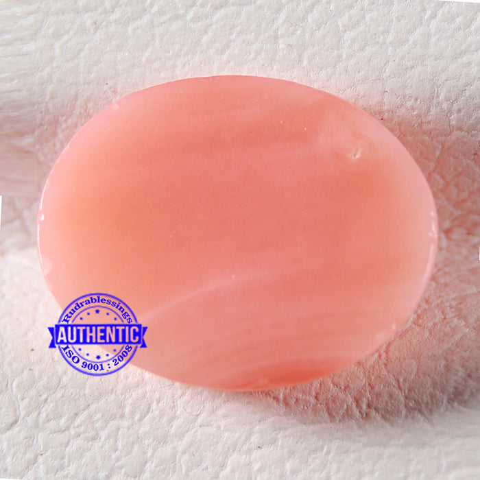 Coral / Moonga for planet Mars / Mangal - 69