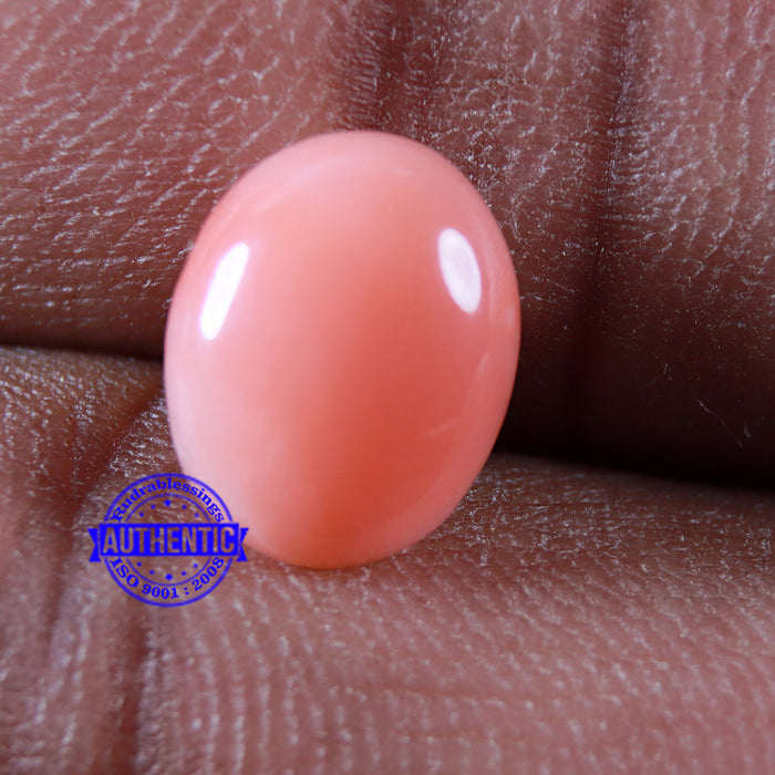 Coral / Moonga for planet Mars / Mangal - 69