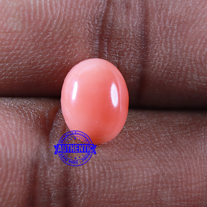 Coral / Moonga for planet Mars / Mangal - 70