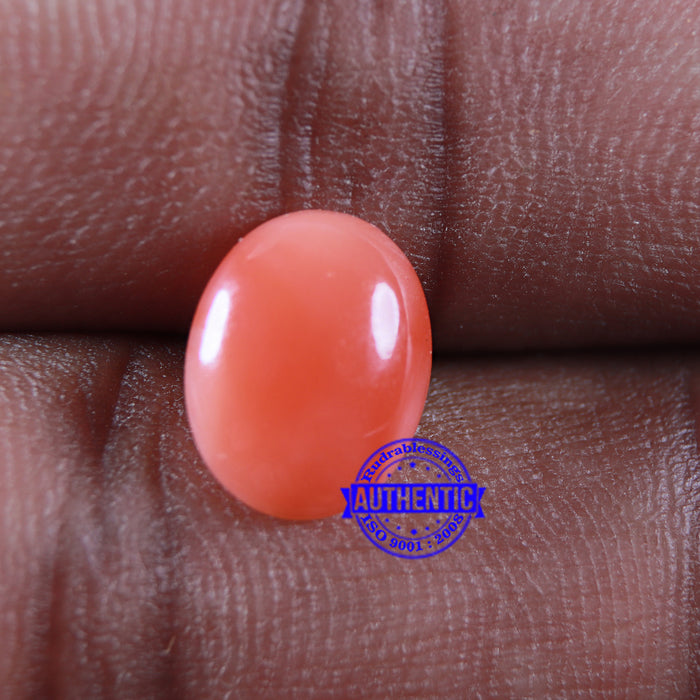 Coral / Moonga for planet Mars / Mangal - 71
