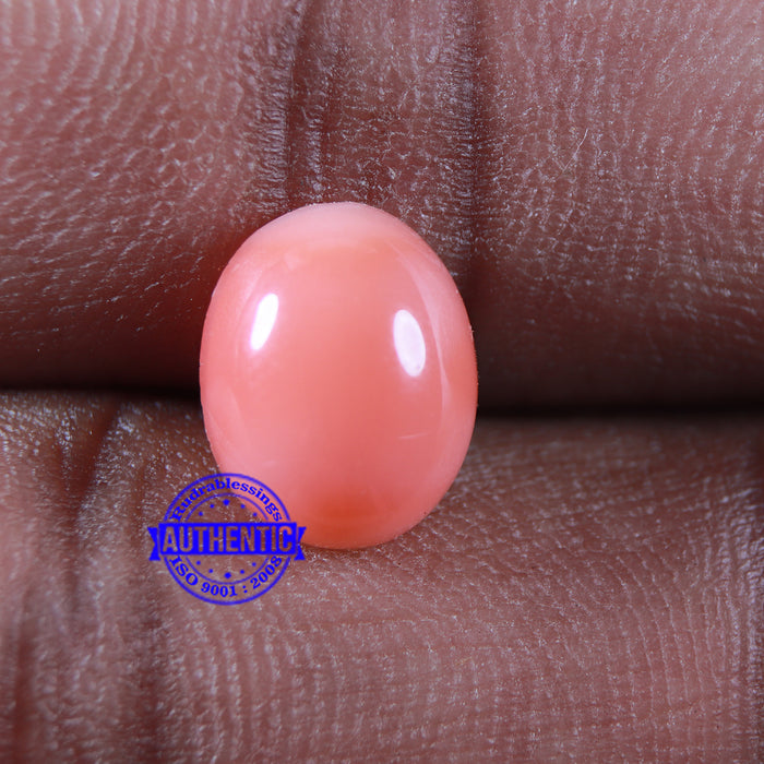 Coral / Moonga for planet Mars / Mangal - 74