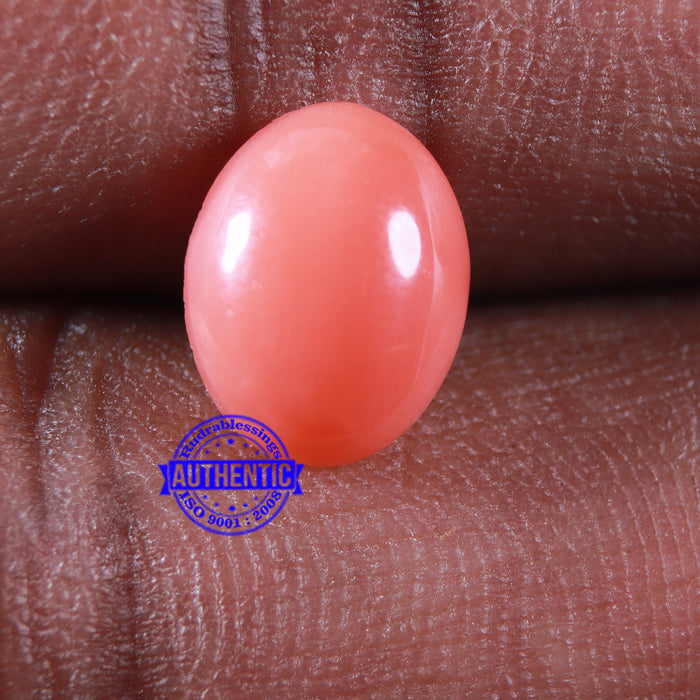 Coral / Moonga for planet Mars / Mangal - 75