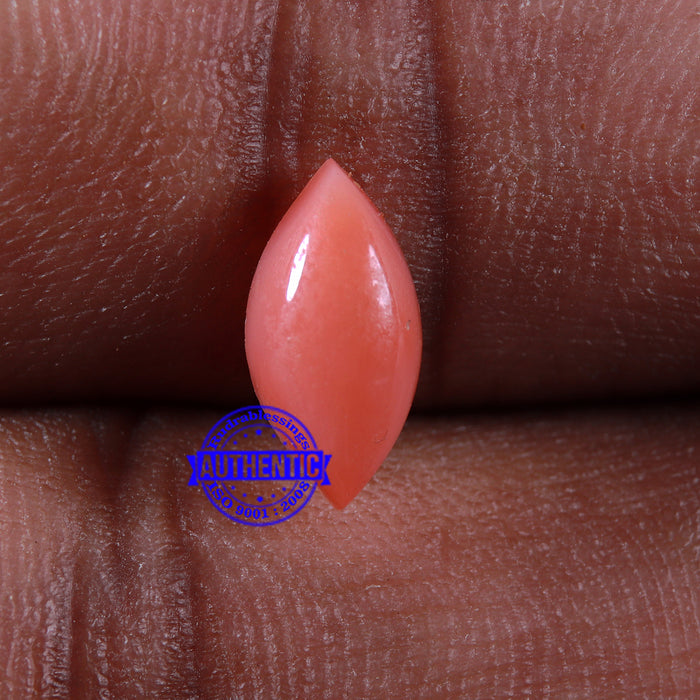 Coral / Moonga for planet Mars / Mangal - 77