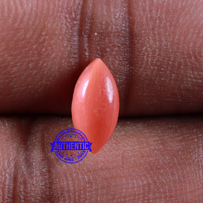 Coral / Moonga for planet Mars / Mangal - 78