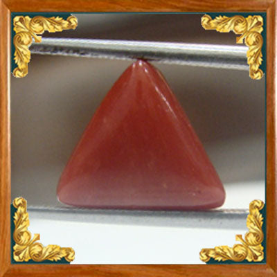 Coral / Moonga for planet Mars / Mangal - 7