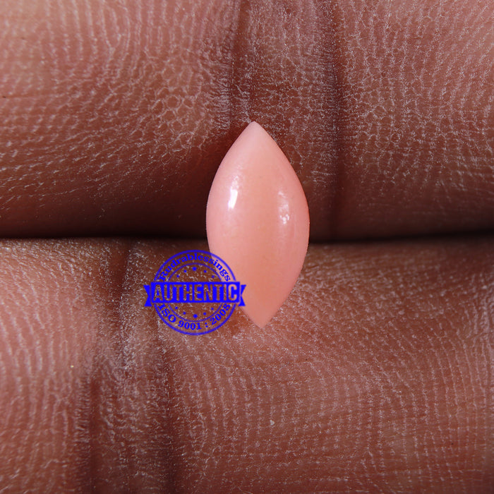 Coral / Moonga for planet Mars / Mangal - 81