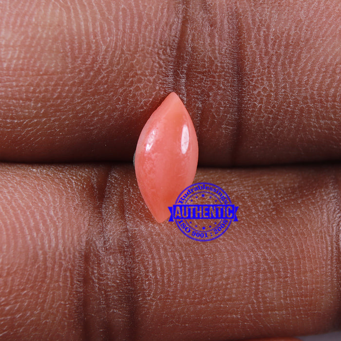 Coral / Moonga for planet Mars / Mangal - 83