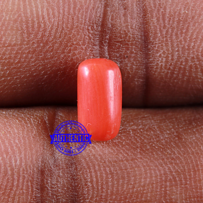 Coral / Moonga for planet Mars / Mangal - 85