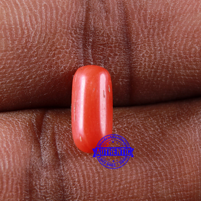 Coral / Moonga for planet Mars / Mangal - 86