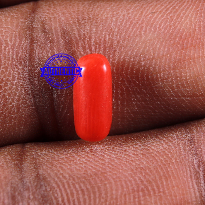 Coral / Moonga for planet Mars / Mangal - 88