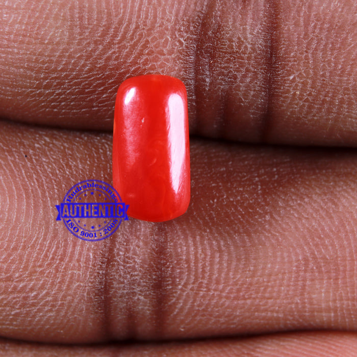 Coral / Moonga for planet Mars / Mangal - 89