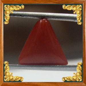 Coral / Moonga for planet Mars / Mangal - 9