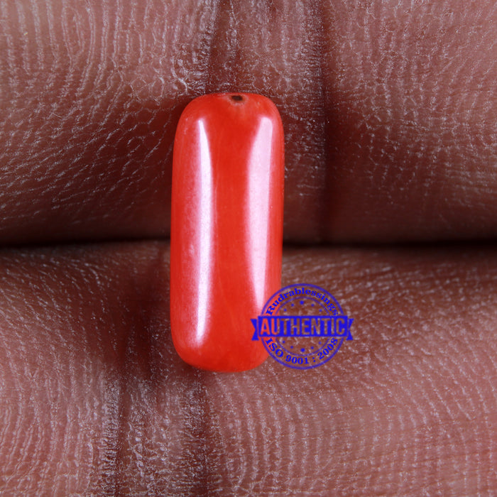 Coral / Moonga for planet Mars / Mangal - 94