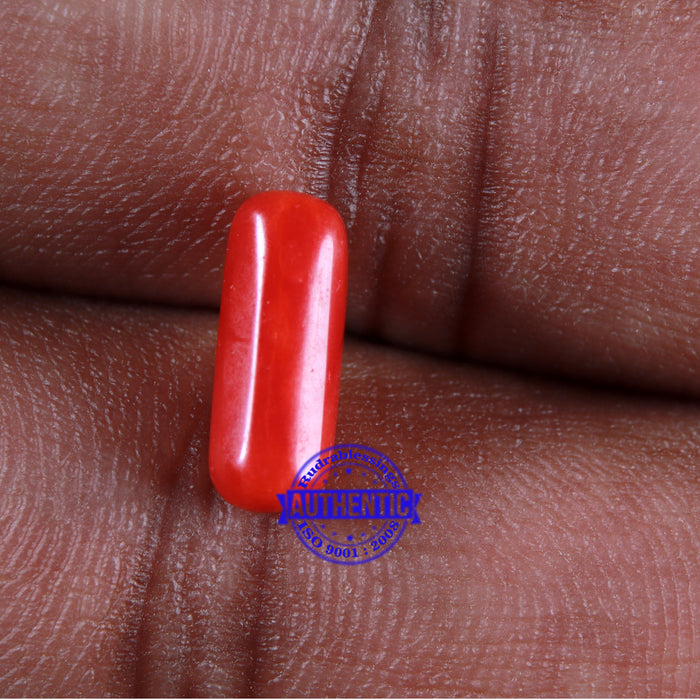 Coral / Moonga for planet Mars / Mangal - 97