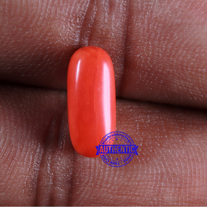 Coral / Moonga for planet Mars / Mangal - 98