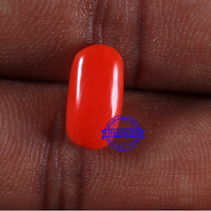 Coral / Moonga for planet Mars / Mangal - 99