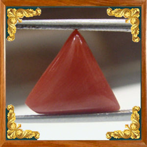 Coral / Moonga for planet Mars / Mangal - 8