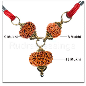 Rudraksha Combination for Knowledge and Creativity From Nepal