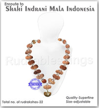 Load image into Gallery viewer, Enroute to Rudraksha Shahi Indrani Mala from Indonesia
