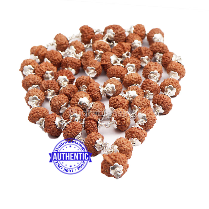 8 Mukhi with Ganesha Protrusion Mala - 54+1 (Pure Silver)
