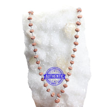 Load image into Gallery viewer, 9 Mukhi with Ganesha Protrusion Mala - 54+1 (Pure Silver)
