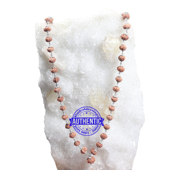 8 Mukhi with Ganesha Protrusion Mala - 54+1 (Pure Silver)