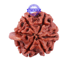 Load image into Gallery viewer, Nepalese Ganesh Rudraksha - Bead No. 63
