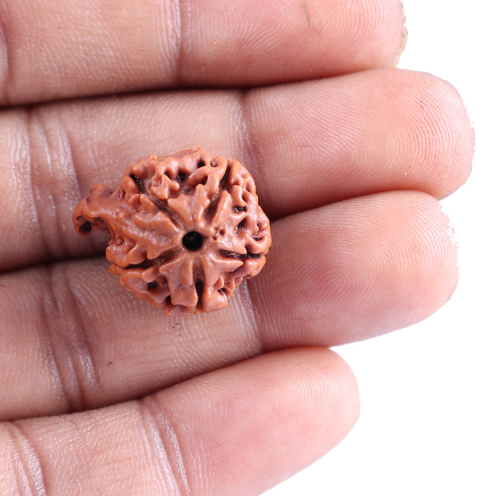Nepalese Ganesh Rudraksha - Bead No. 84