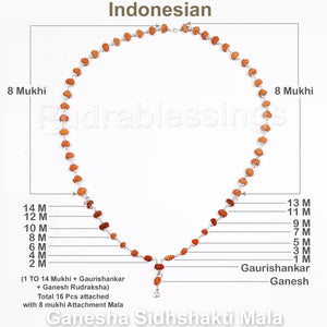 Asthavinayaka Rudraksha SidhShakti Mala from Indonesia (Mini size beads) - 2 (Pure Silver)