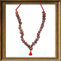 Gaurishanker Rudraksha kantha from Indonesia (32 + 1 beads)