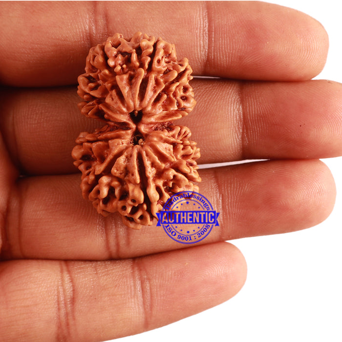 Gaurishanker Nepalese Rudraksha Bead No. - 171