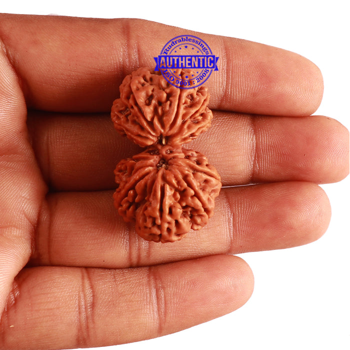 Gaurishanker Nepalese Rudraksha - Bead No. 174