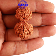 Load image into Gallery viewer, Gaurishanker Nepalese Rudraksha Bead No. - 176

