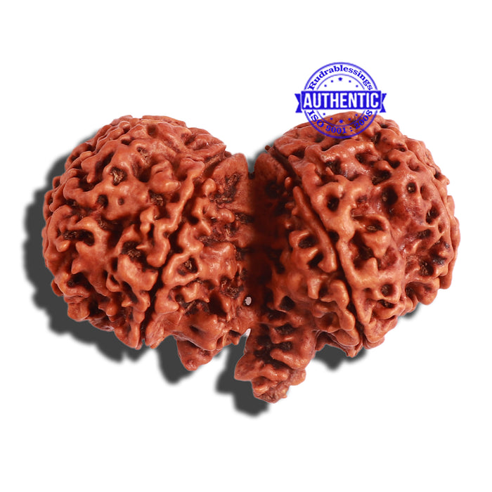 Gaurishankar Rudraksha with Ganesha - Bead No. 189