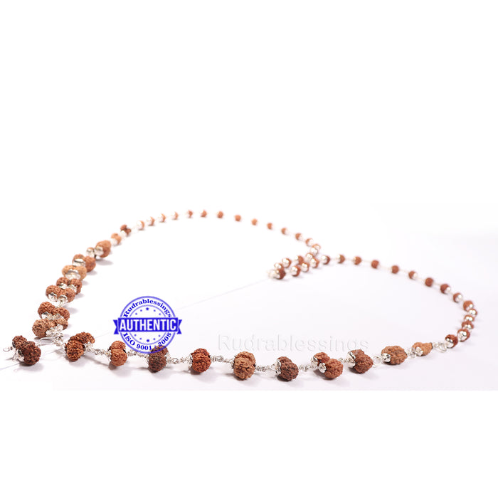 Gaurishankar Rudraksha Shahi Indrani Mala (Indonesian Standard Size Beads)