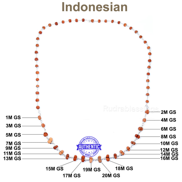 Enroute to Gaurishankar Rudraksha Shahi Indrani Mala from Indonesia