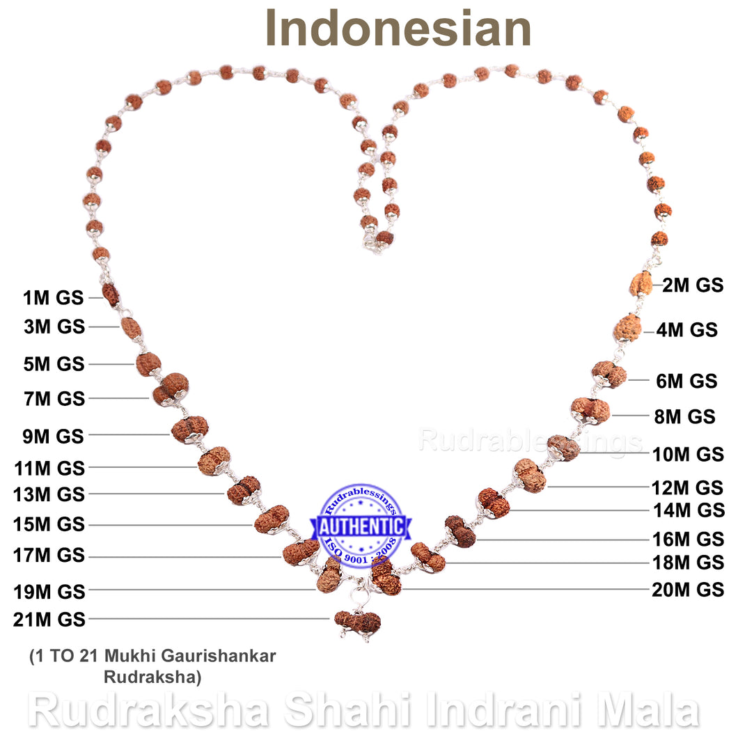 Gaurishankar Rudraksha Shahi Indrani Mala (Indonesian Standard Size Beads)