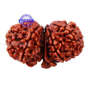 Gaurishankar Rudraksha with Ganesha  - Bead No. 45