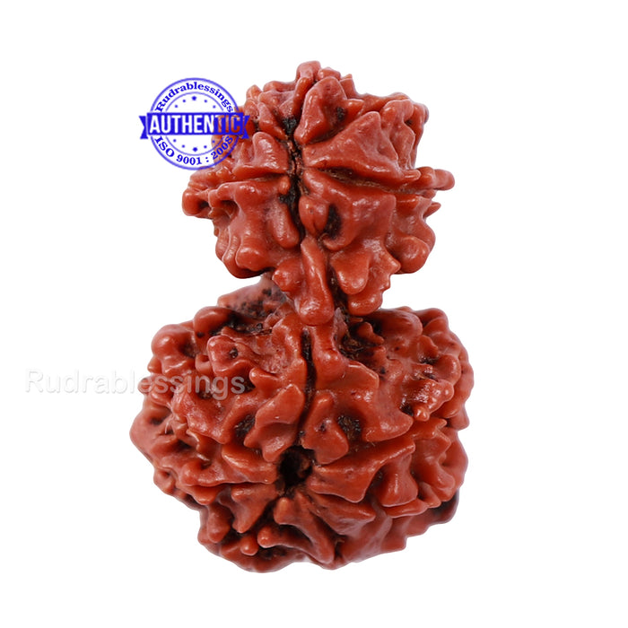 Gaurishankar Rudraksha with Ganesha  - Bead No. 48
