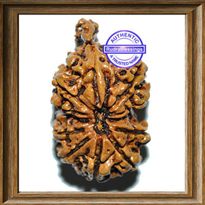 Nepalese Gaurishankar with Savar Rudraksha