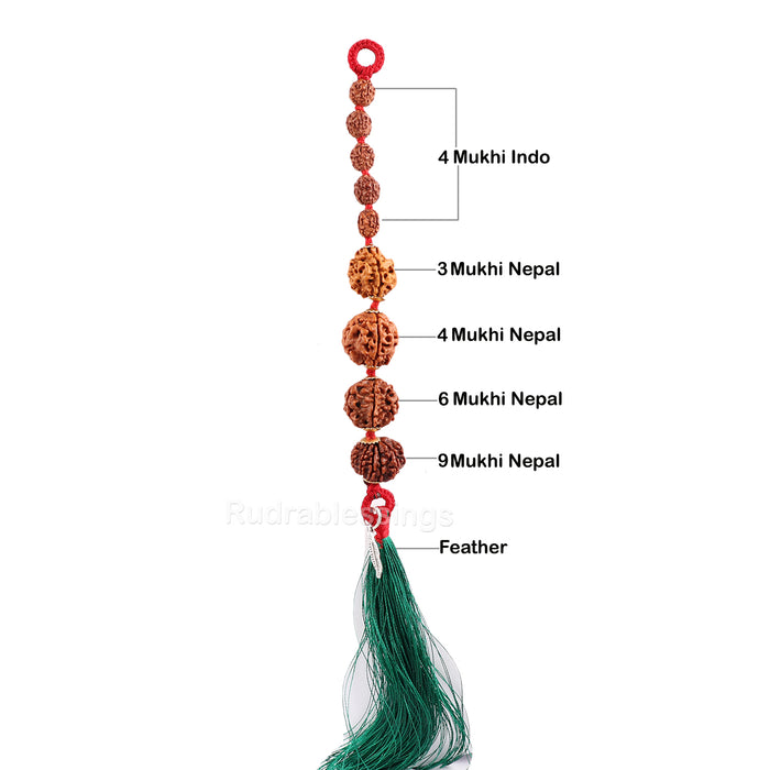 Rudraksha Hanging for Confidence - Nepal