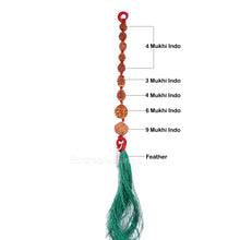 Load image into Gallery viewer, Rudraksha Hanging for Confidence - Indonesian

