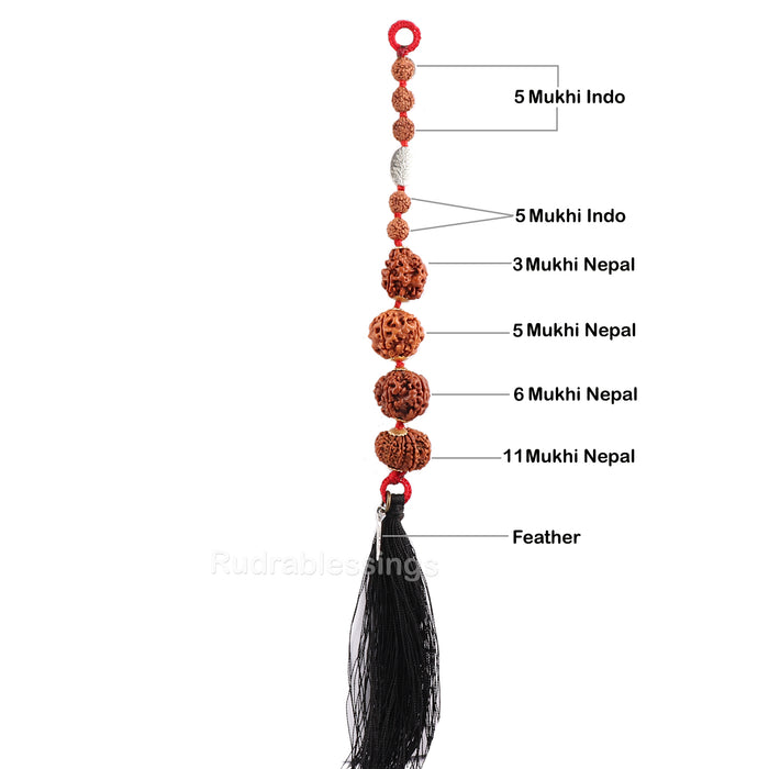 Rudraksha Hanging for Fitness - Nepal