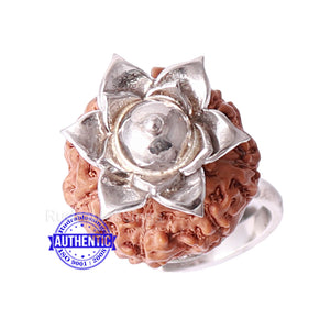 7 Mukhi Indonesian Rudraksha Ring - 14