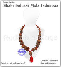 Load image into Gallery viewer, Enroute to Rudraksha Shahi Indrani Mala from Indonesia - 2
