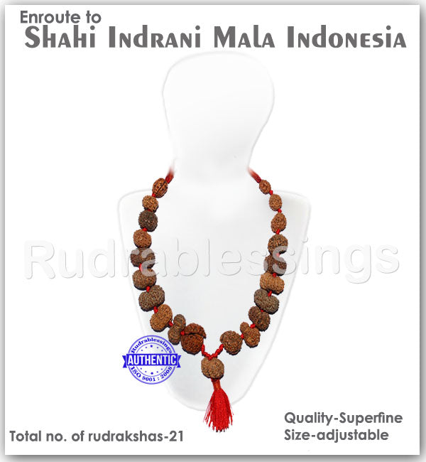 Enroute to Rudraksha Shahi Indrani Mala from Indonesia - 2