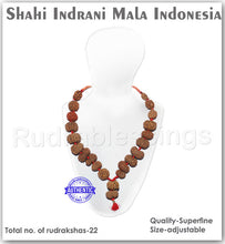Load image into Gallery viewer, Enroute to Rudraksha Shahi Indrani Mala from Indonesia - 3
