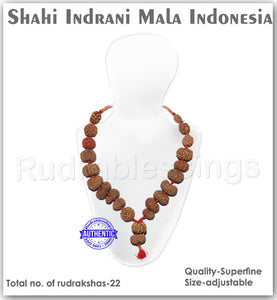 Enroute to Rudraksha Shahi Indrani Mala from Indonesia - 3
