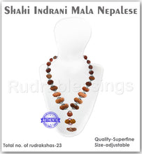 Load image into Gallery viewer, Rudraksha Shahi Indrani Mala from Nepal
