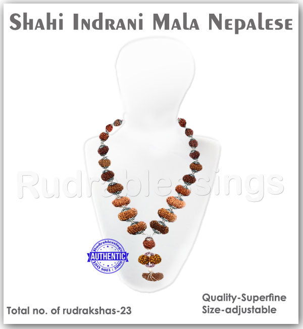 Rudraksha Shahi Indrani Mala from Nepal